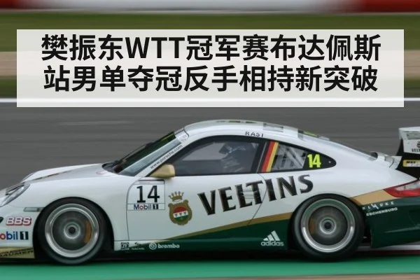 樊振东WTT冠军赛布达佩斯站男单夺冠反手相持新突破